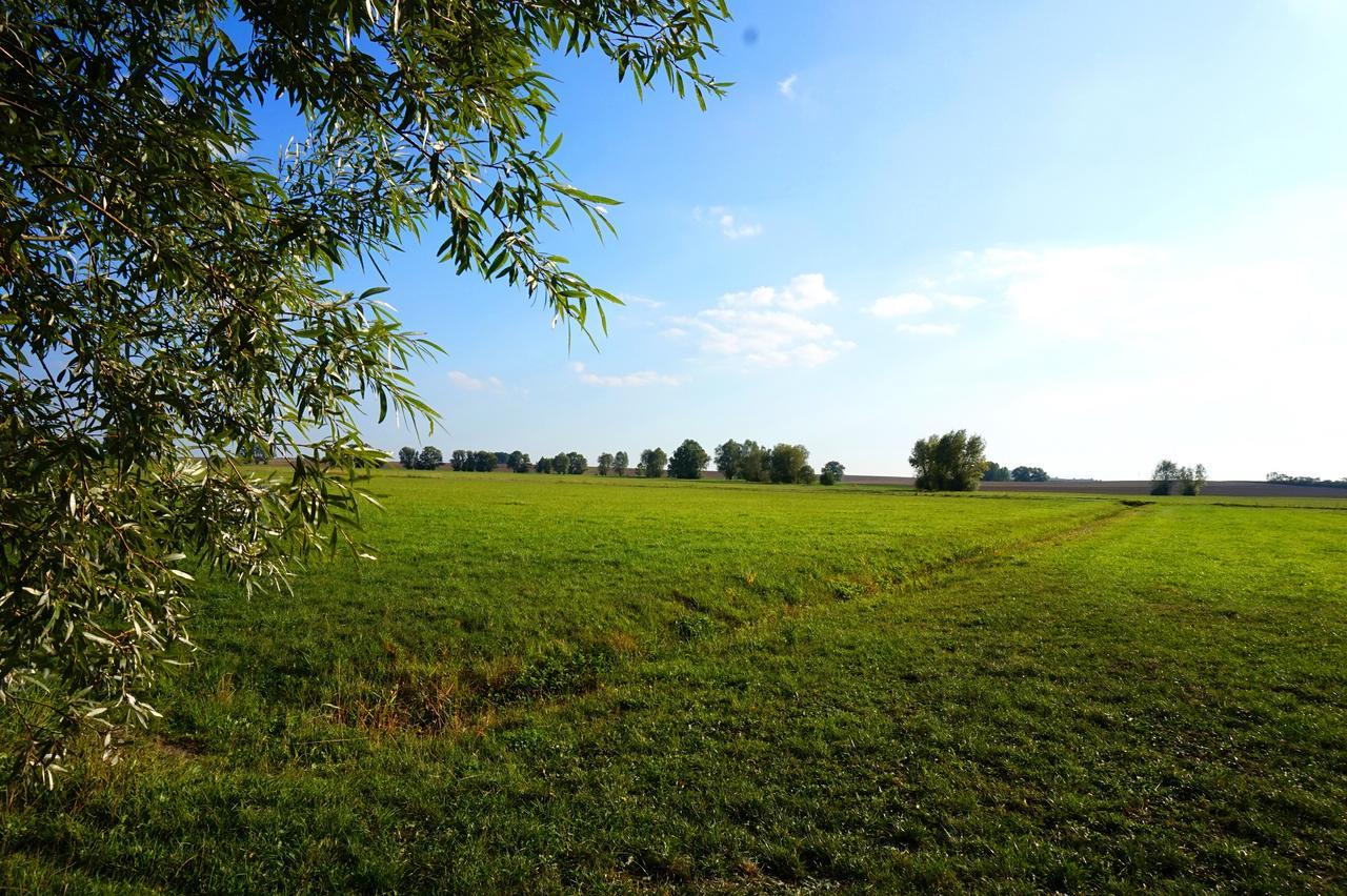 Gasthaus Zur Krone Windelsbach Exteriér fotografie